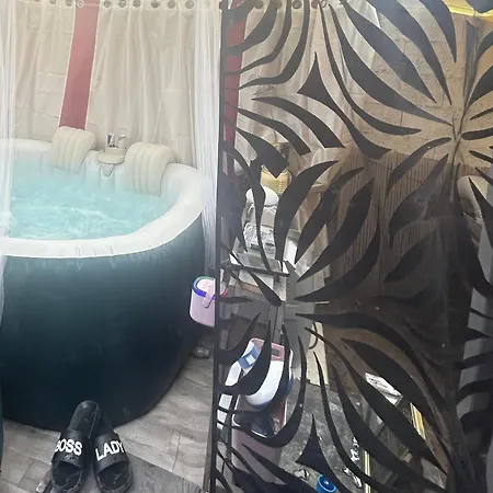 Appartamento Jacuzzi Clim Table De Massage Jardin Et Barbecue Au Coeur De Perpignano